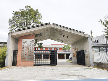 林下魔芋的示範基地